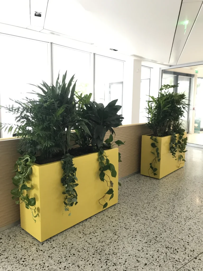 Végétalisation d’une cafétéria