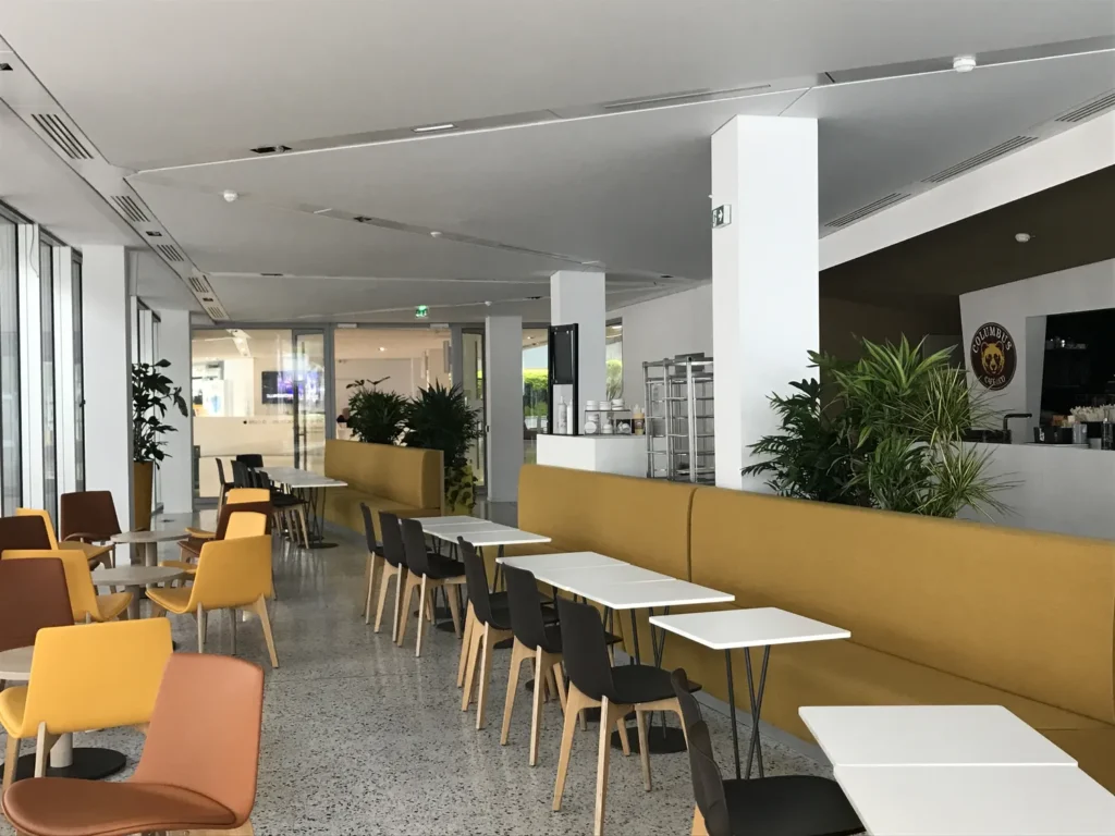 Végétalisation d’une cafétéria