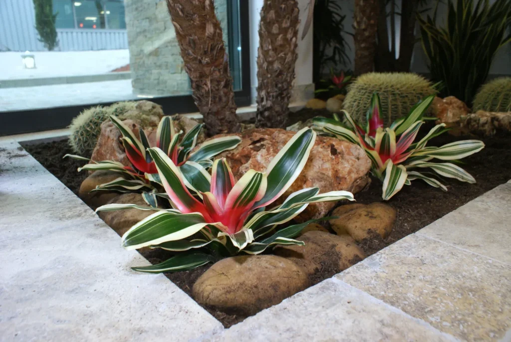 Création d'un jardin intérieur