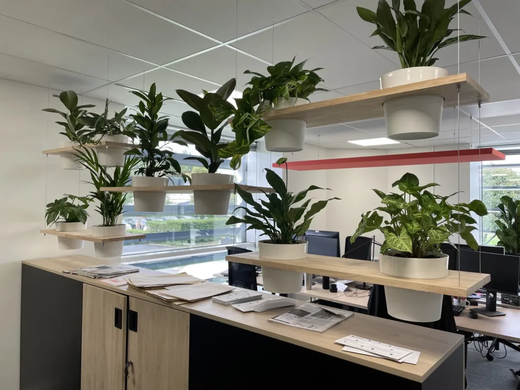 Aménagement végétal d’un Open Space